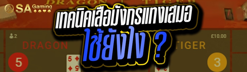 เทคนิคเสือมังกรแทงเสมอ ใช้ยังไง ?