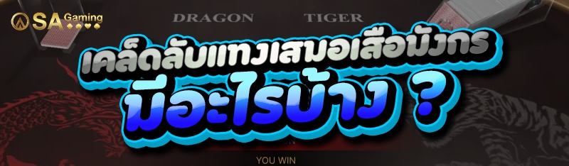 เคล็ดลับแทงเสมอเสือมังกร มีอะไรบ้าง ?