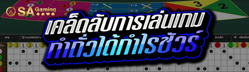 เคล็ดลับการเล่นเกม กำถั่วได้กำไรชัวร์